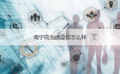 南寧風生水公司綜合概況與企業信息解析