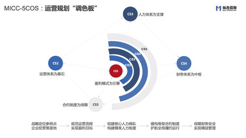 縱合咨詢（MICC） 戰(zhàn)略定位與管理咨詢領(lǐng)域的特色品質(zhì)企業(yè)